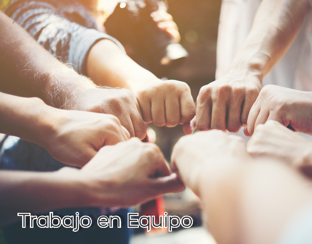 Trabajo en equipo